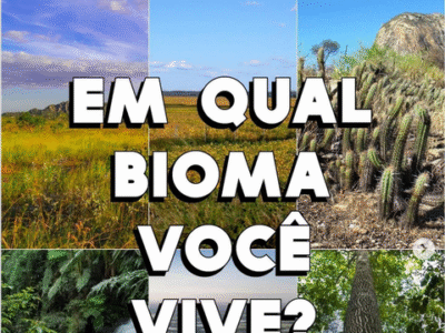 JuMa na Revista TRIP